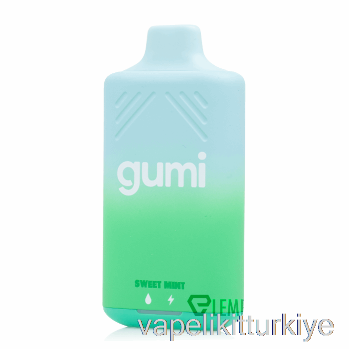Vape Türkiye Gumi Bar 8000 Tek Kullanımlık Tatlı Nane